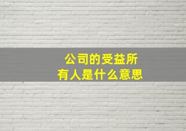 公司的受益所有人是什么意思