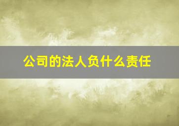 公司的法人负什么责任