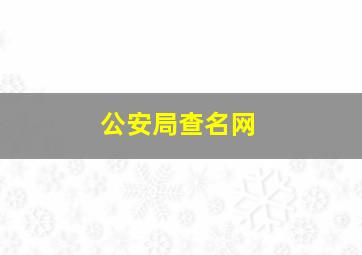 公安局查名网