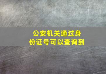 公安机关通过身份证号可以查询到