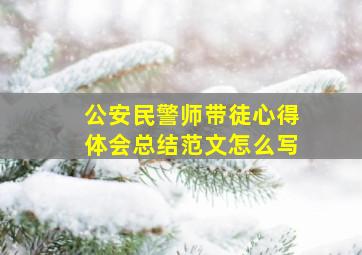 公安民警师带徒心得体会总结范文怎么写