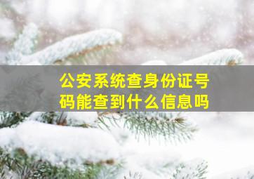 公安系统查身份证号码能查到什么信息吗