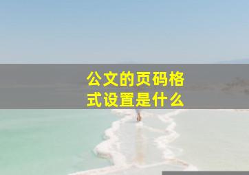 公文的页码格式设置是什么