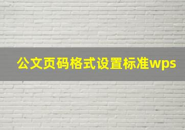 公文页码格式设置标准wps