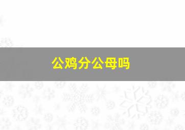 公鸡分公母吗