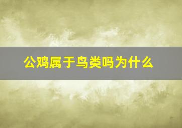 公鸡属于鸟类吗为什么