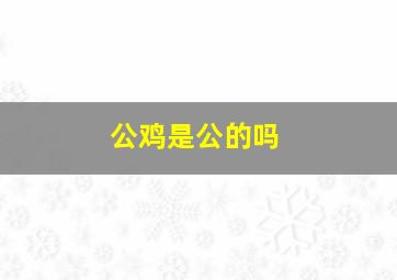 公鸡是公的吗