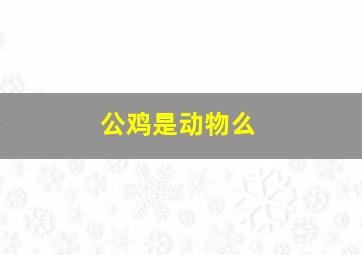 公鸡是动物么