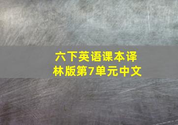 六下英语课本译林版第7单元中文