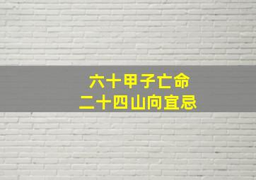 六十甲子亡命二十四山向宜忌