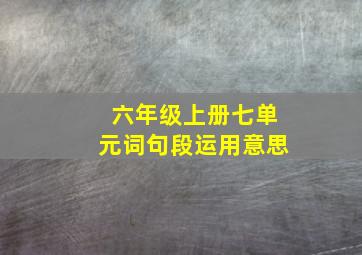 六年级上册七单元词句段运用意思