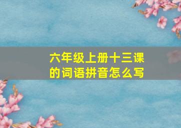 六年级上册十三课的词语拼音怎么写