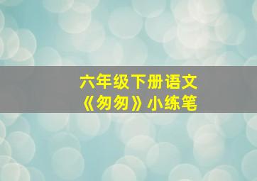 六年级下册语文《匆匆》小练笔