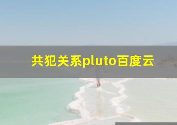 共犯关系pluto百度云