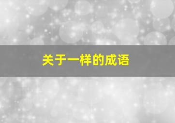 关于一样的成语