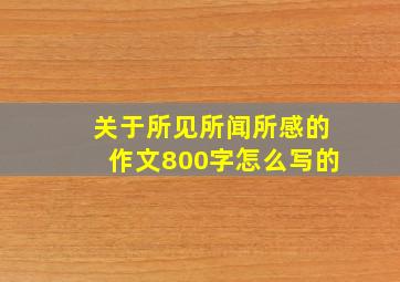 关于所见所闻所感的作文800字怎么写的