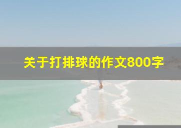 关于打排球的作文800字