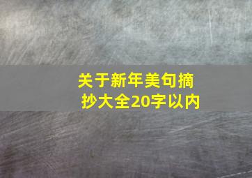 关于新年美句摘抄大全20字以内