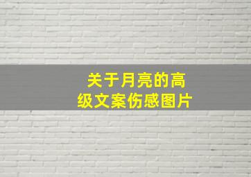 关于月亮的高级文案伤感图片