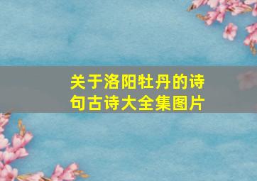 关于洛阳牡丹的诗句古诗大全集图片