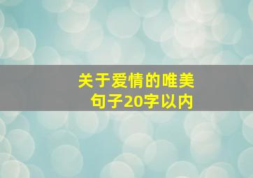 关于爱情的唯美句子20字以内