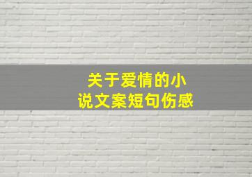 关于爱情的小说文案短句伤感