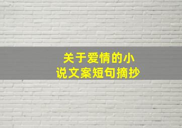 关于爱情的小说文案短句摘抄