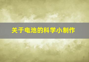 关于电池的科学小制作