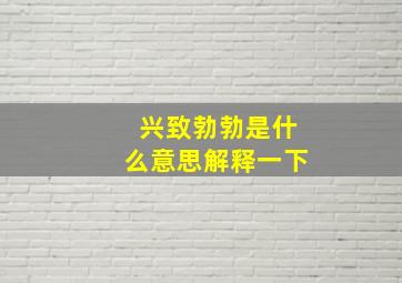 兴致勃勃是什么意思解释一下