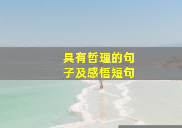 具有哲理的句子及感悟短句