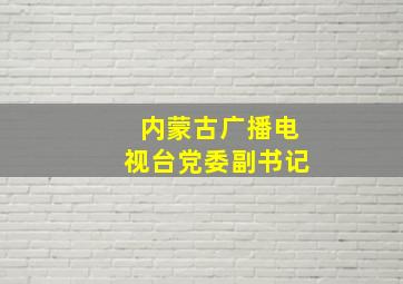 内蒙古广播电视台党委副书记