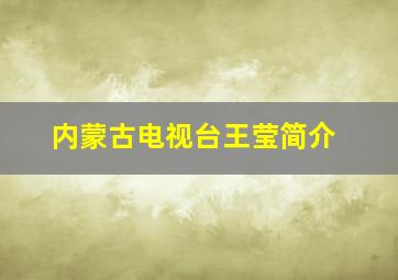 内蒙古电视台王莹简介