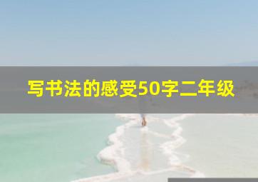 写书法的感受50字二年级