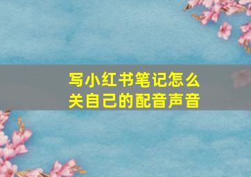 写小红书笔记怎么关自己的配音声音