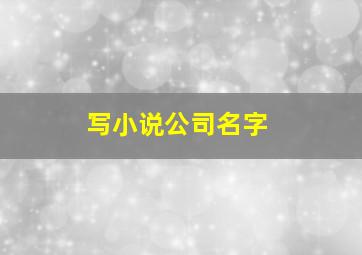 写小说公司名字