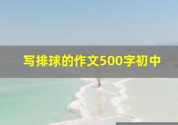 写排球的作文500字初中