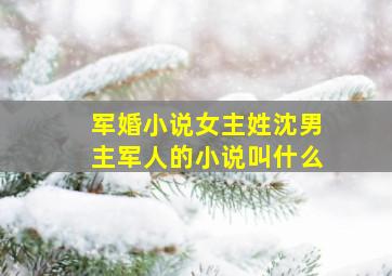 军婚小说女主姓沈男主军人的小说叫什么