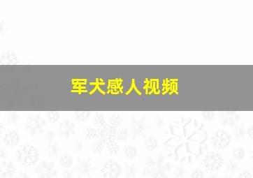 军犬感人视频