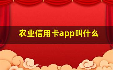 农业信用卡app叫什么