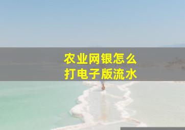 农业网银怎么打电子版流水