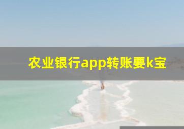 农业银行app转账要k宝