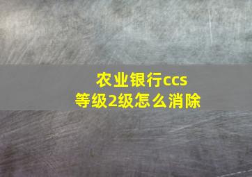 农业银行ccs等级2级怎么消除