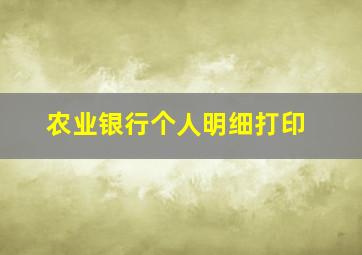 农业银行个人明细打印