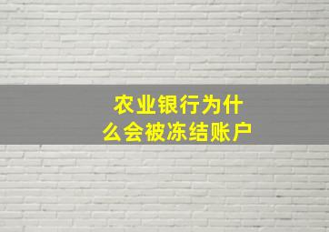 农业银行为什么会被冻结账户