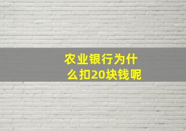 农业银行为什么扣20块钱呢