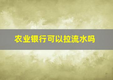 农业银行可以拉流水吗