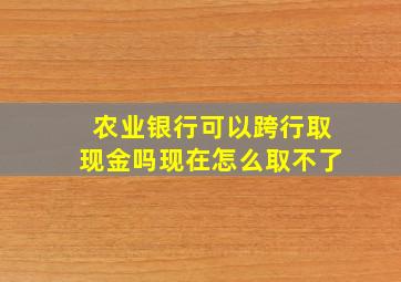 农业银行可以跨行取现金吗现在怎么取不了