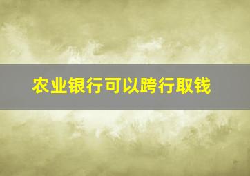 农业银行可以跨行取钱