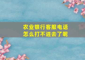 农业银行客服电话怎么打不进去了呢