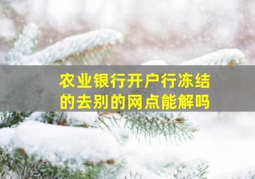 农业银行开户行冻结的去别的网点能解吗